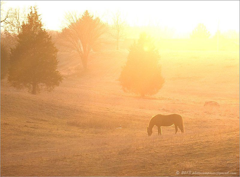 Родом из детства....photo preview