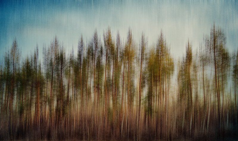 Сны природыphoto preview