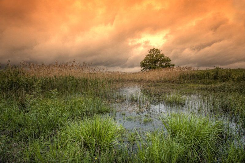 Дождливая весна...photo preview