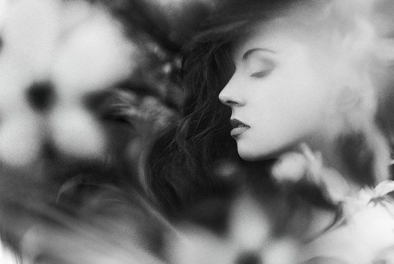 Cherry, Sleeping, Вишня, Девушка, Монпасье, Спящая, Цветок Sleeping Cherryphoto preview