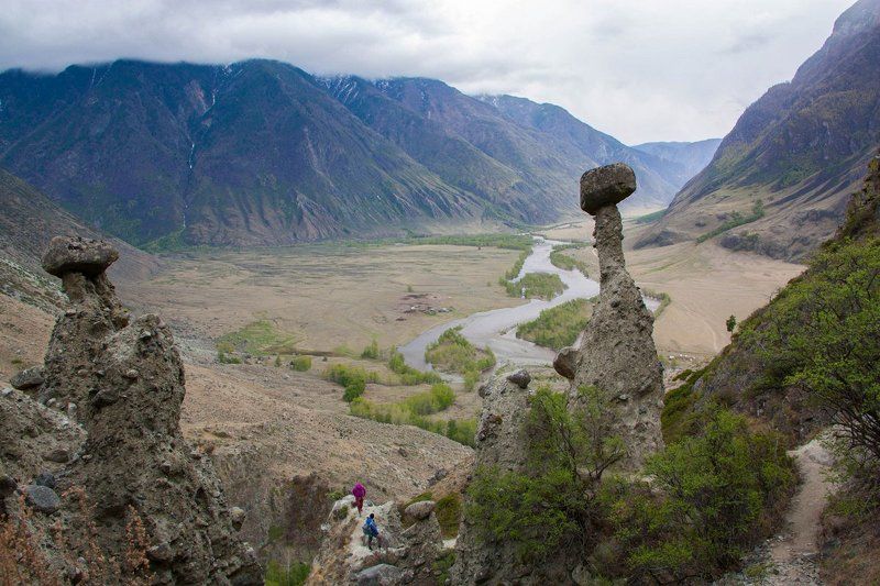 По Чулышманские грибыphoto preview