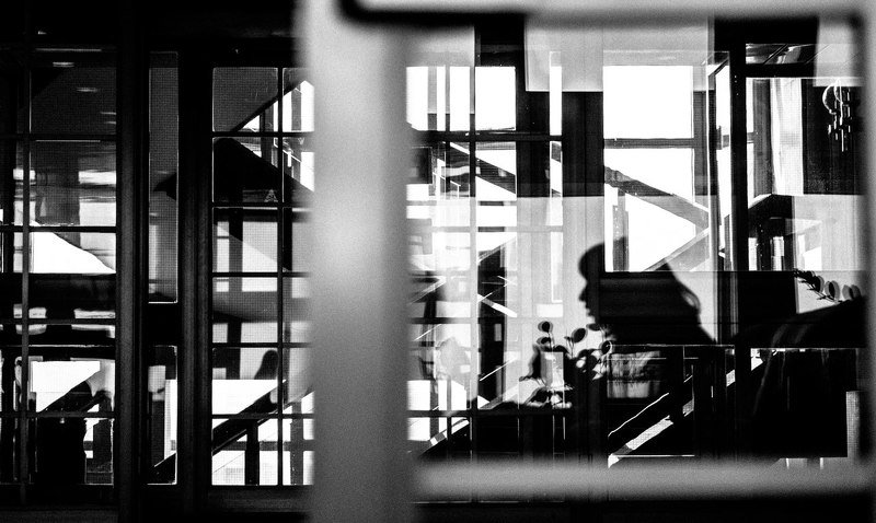 tarbeev -photo preview