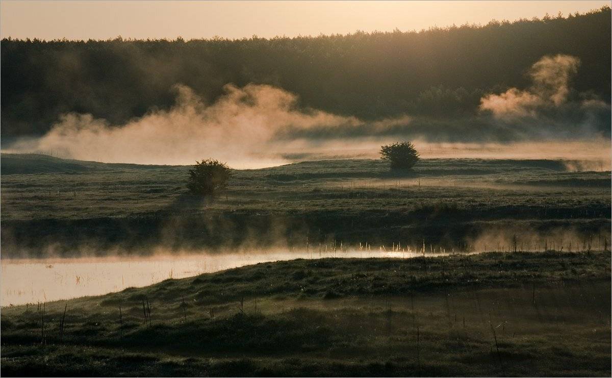 , Николай Шахманцир