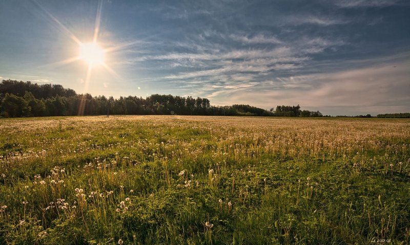 начало летоphoto preview