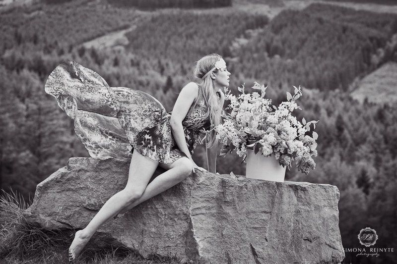 I can fly in my dreams..photo preview