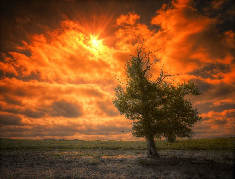 Одиночествоphoto preview