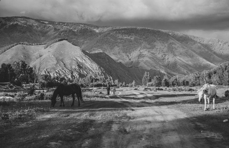 Свет и теньphoto preview