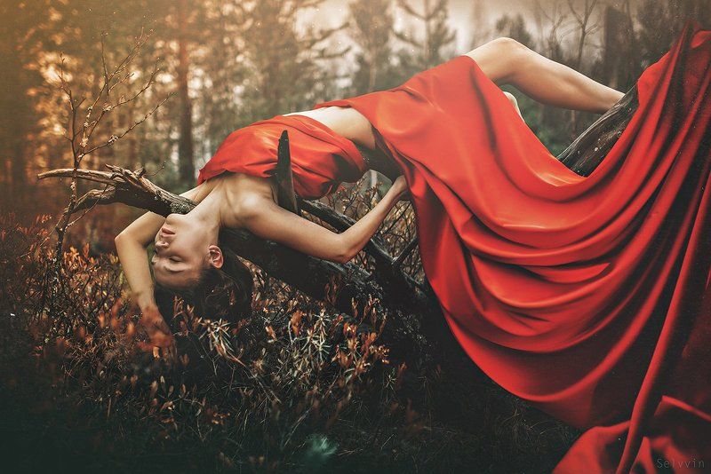 Part of naturephoto preview