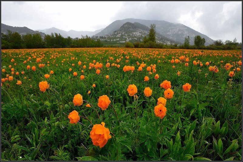 Дождливое воскресениеphoto preview