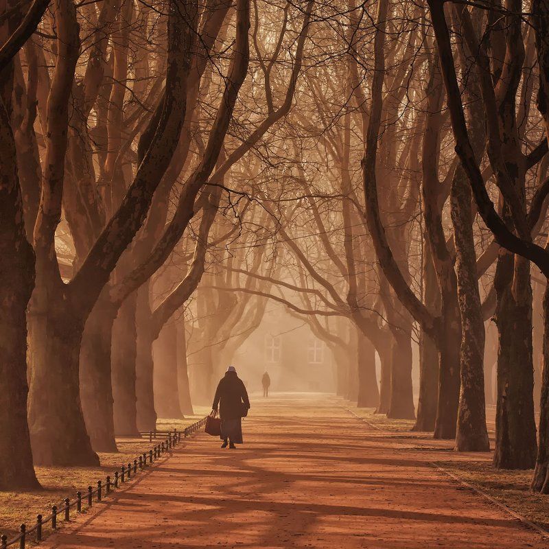 The appointmentphoto preview