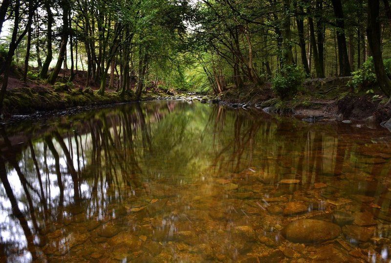 Northern Ireland Tollymore Forest Parkphoto preview