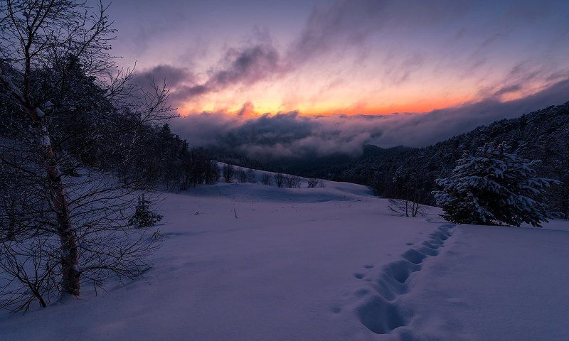 ТАМ, НА НЕВЕДОМЫХ ДОРОЖКАХ....photo preview