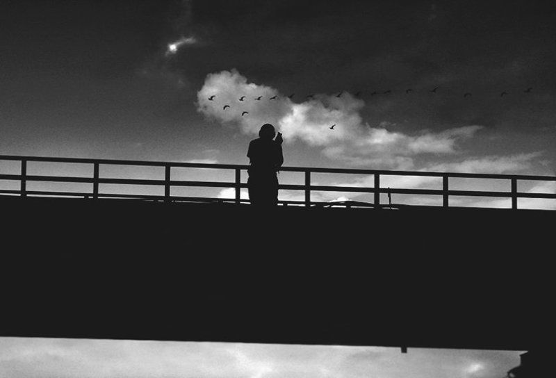 Силуэтыphoto preview