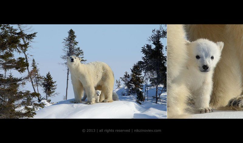 Первый раз увидеть человекаphoto preview