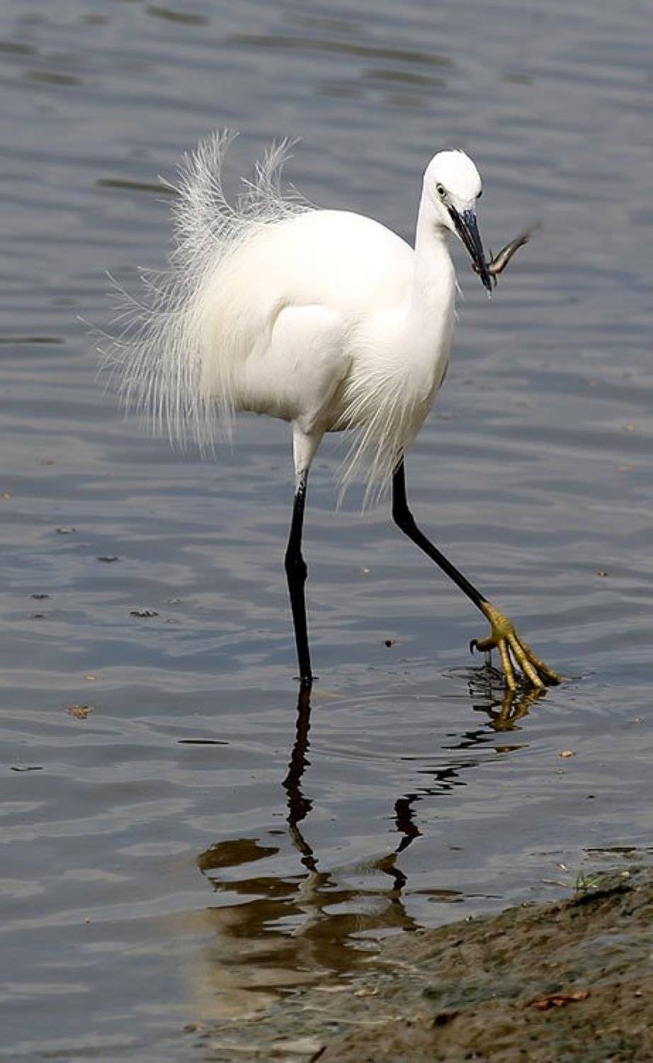 , Солодухин Виктор