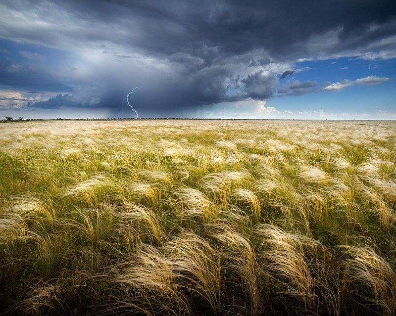 ковыль и грозаphoto preview