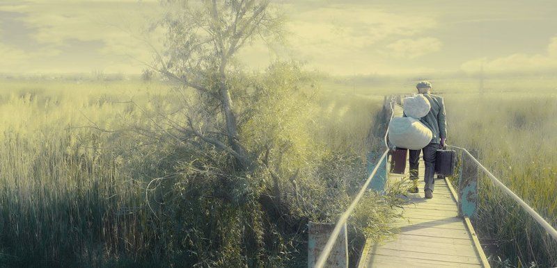 Дорога домойphoto preview