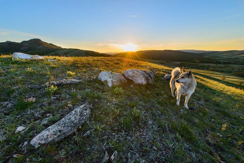 Казахстан, Каркаралинск Каркаралинскphoto preview