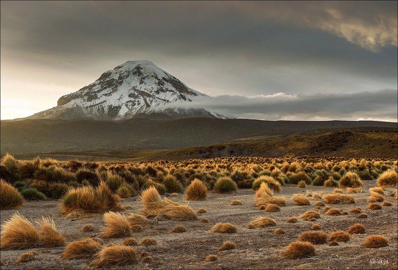Боливия, Вулкан, Латинская америка, Панорама, Рассвет, Сахама Сахамаphoto preview