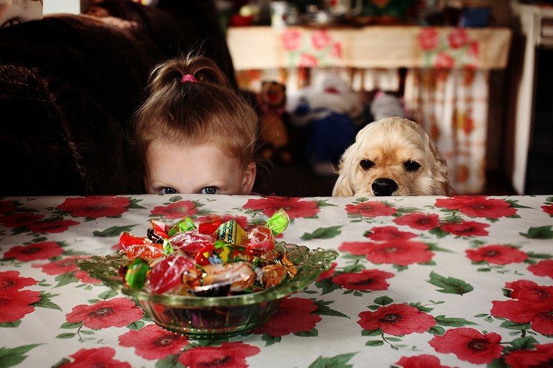 Ники и Рикиphoto preview