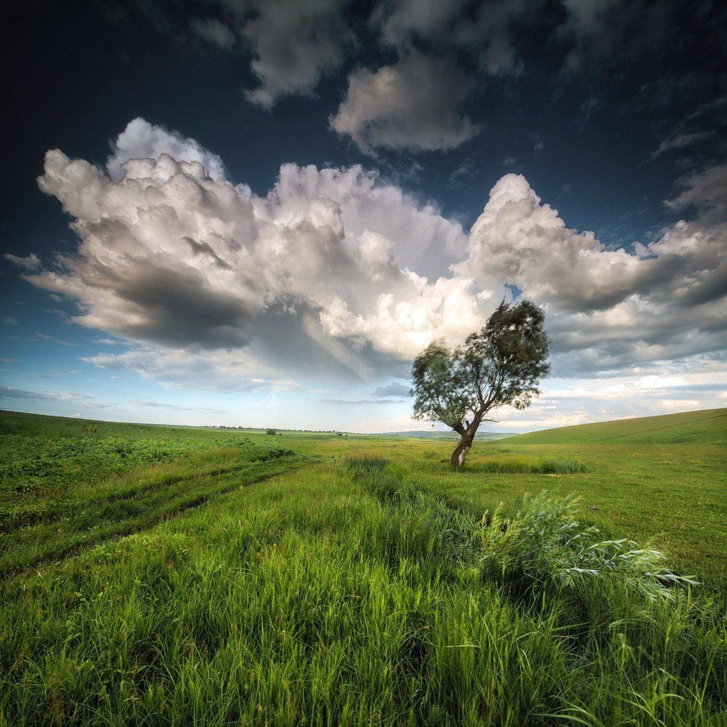 ***. Автор: Sergey Braga , Sergey Braga