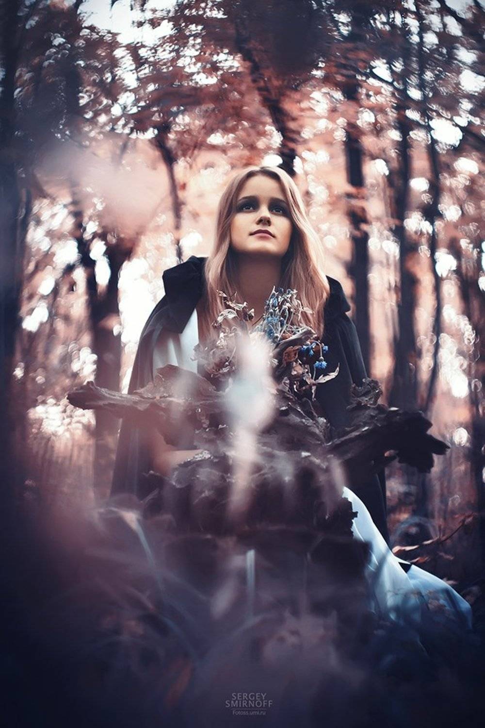 in the wood. Автор: Смирнов Сергей , Смирнов Сергей