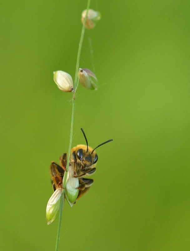 Всем привет :)photo preview