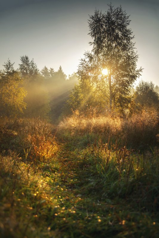 рассвет, туман, осень, пейзаж   Первые дни осениphoto preview