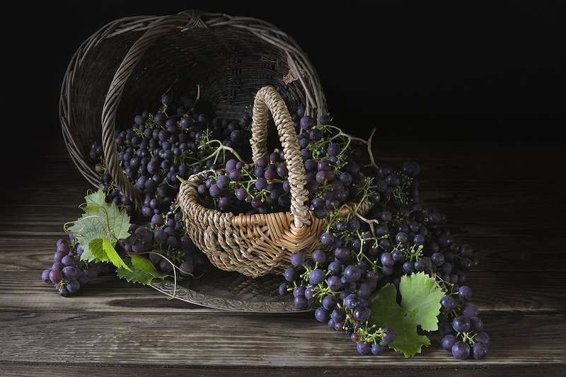 Северный виноград.photo preview