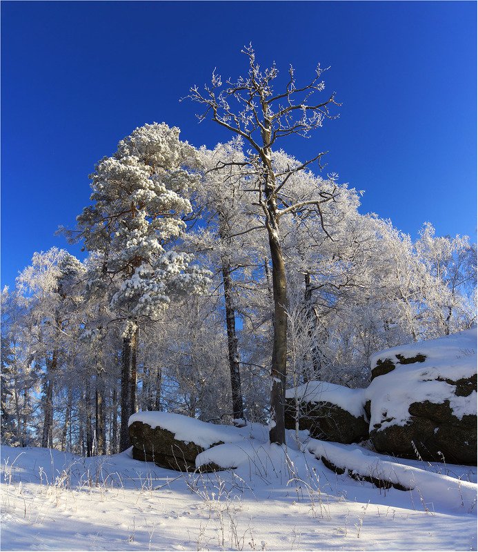 Зимы начало..кружева...photo preview