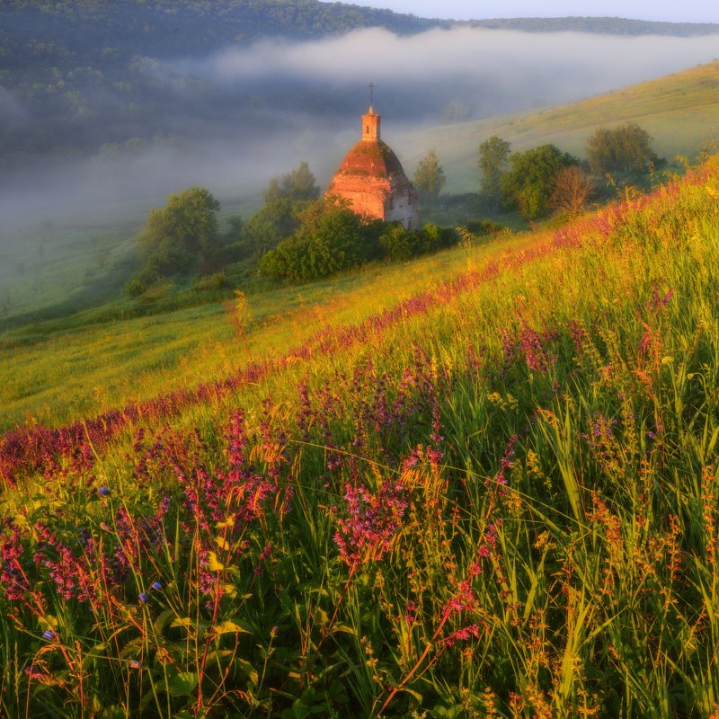 #лето #солнце #пейзаж #цветы #трава #туман #храм Июльские туманы photo preview