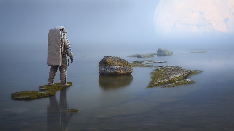 Midnight Sunphoto preview