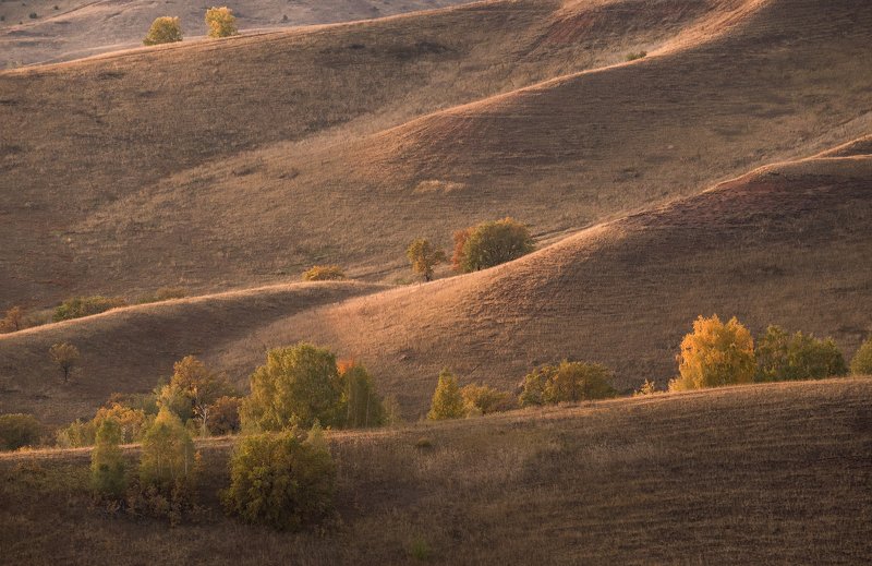 природа, пейзаж, горы, осень Волнообразные холмыphoto preview