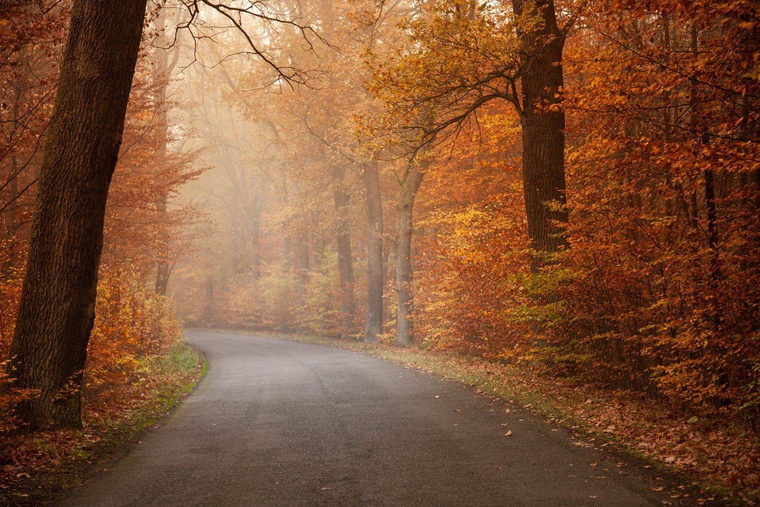 Автор: MiroM , MiroM