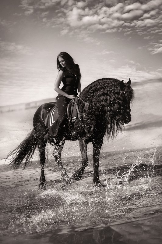 #фриз #конныйфотограф #фотосессияслошадьми #фотосессияслошадью #коннаяфотосессия #черныйконь #воронойконь #воронаялошадь #девушкаслошадью #девушкасконем #конь #horse #черный_конь #фото_с_лошадью #фотосессиясконем Прогулка с конемphoto preview