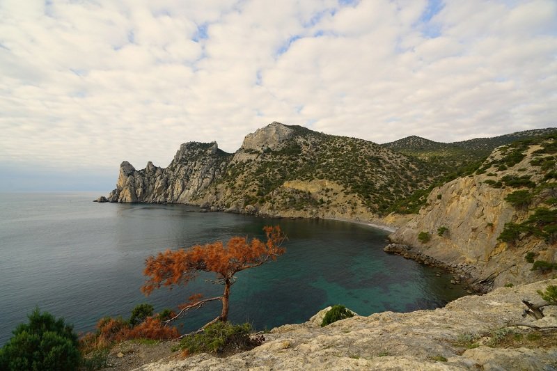 weather, mountains, peaks, sky, clouds, tree, stone, horizon, autumn, view, space Autumn morningphoto preview
