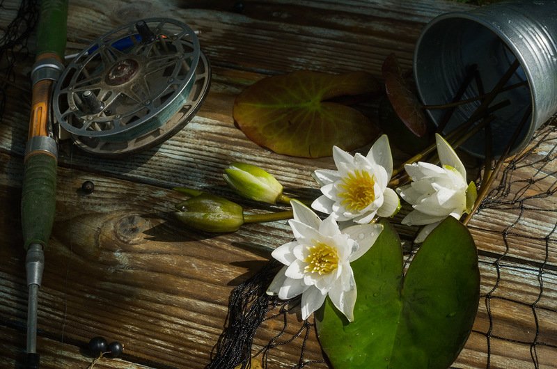 Улов рыбакаphoto preview