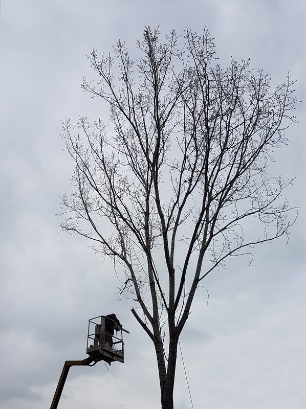 This ain\'t no high fivephoto preview