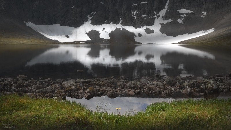 кольский полуостров, хибины, озеро академическое, горное озеро, кукисвумчорр, одуванчики Одуванчикиphoto preview