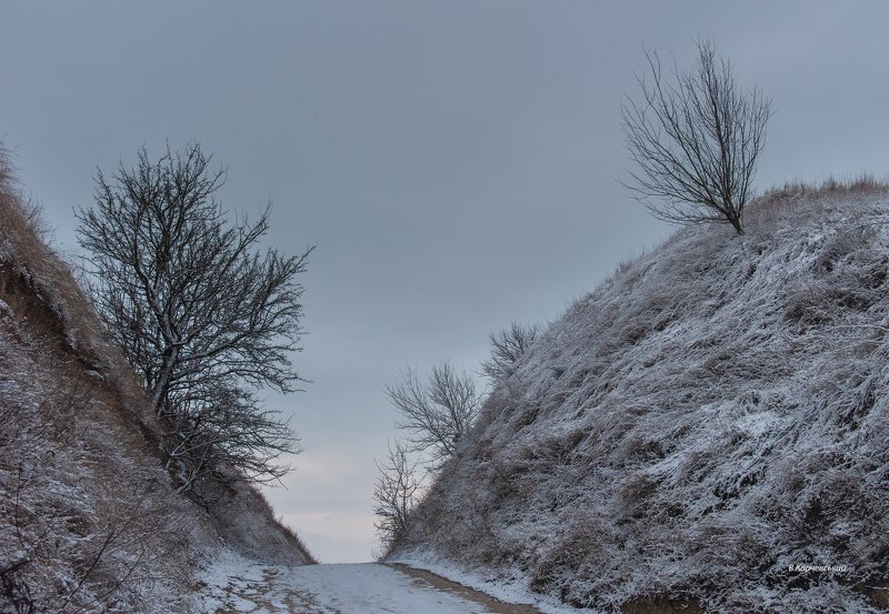 с.білів,давньоруське городище,зима ,сніг ,білівські пагорби,білівські хутори,володимир карчевський Білівські пагорби...photo preview