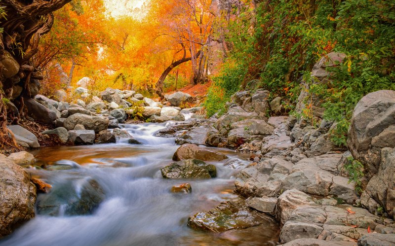 #landscape #longexposure #river #waterfall #travel Fall in tehranphoto preview