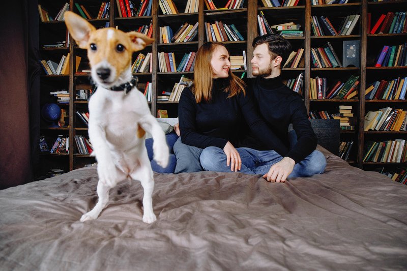 собака, портрет, животные, жанровая съемка, жанровый портрет, веселье, студия, портрет, love story, семья Funny Dogphoto preview