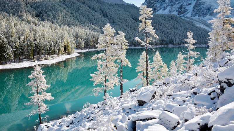 алтай,горы,шавла в гостях у сказкиphoto preview