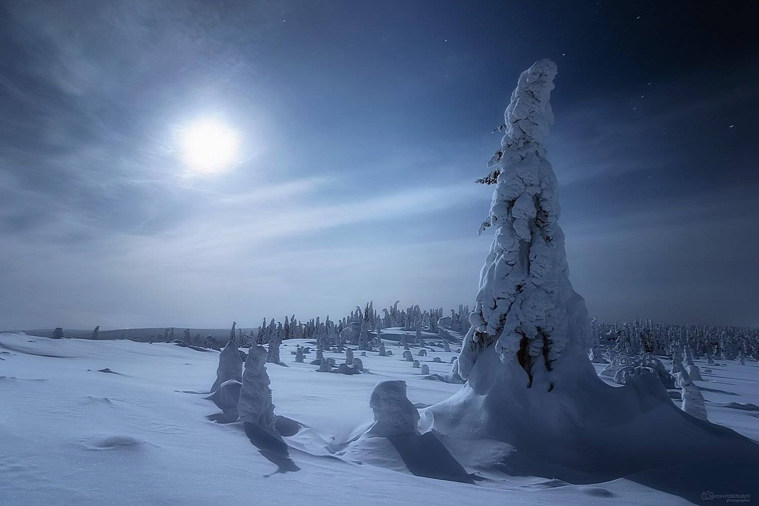 В лунном сиянии. Автор: Антон Кошетаров , Антон Кошетаров