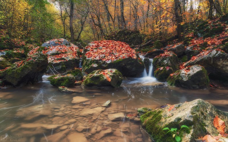 Насорил октябрь листьями...photo preview