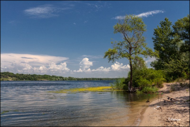 река,лето Родные просторыphoto preview