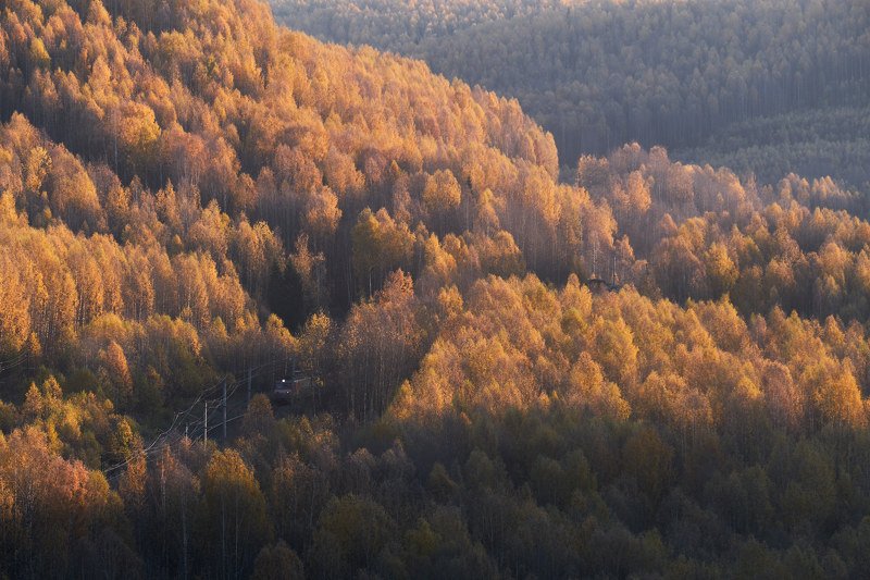 осень, поезд, утро, рассвет Утренний рейсphoto preview