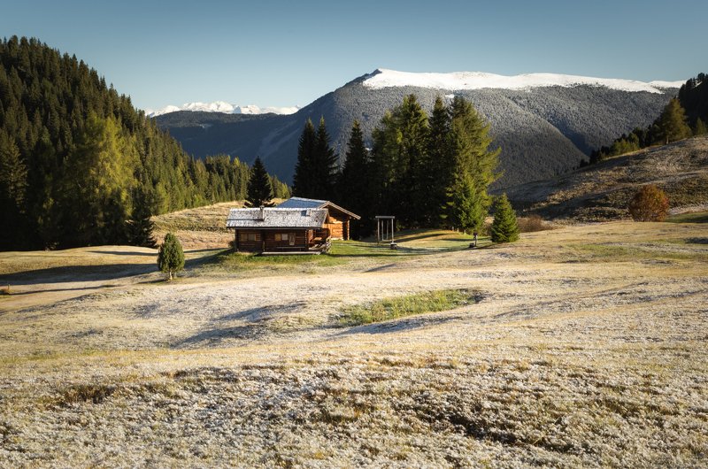 снег; горы; лес; альпы; италия Первый снегphoto preview