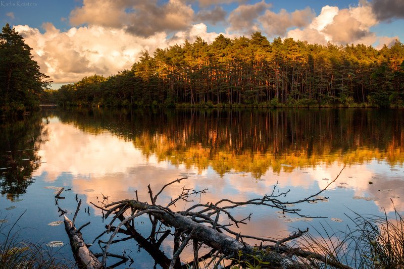 Вечер на лесном озере фото превью