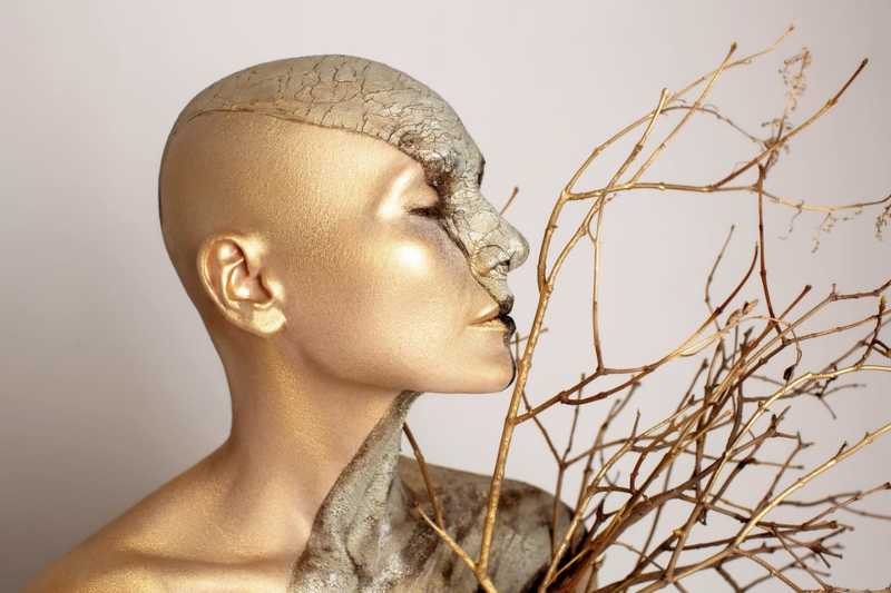 Гаурангаphoto preview